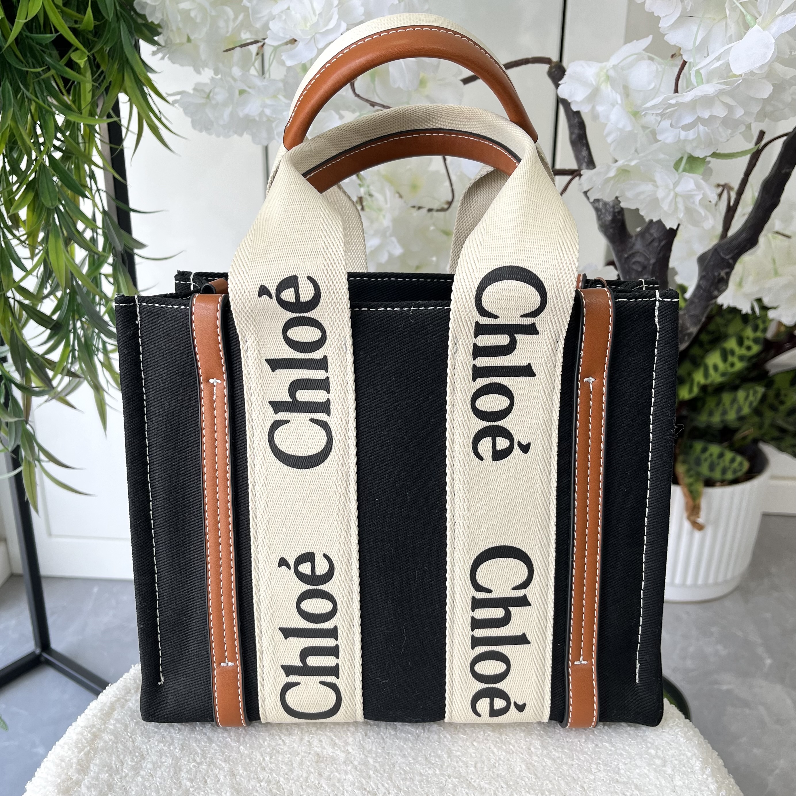 CHLOE-6